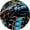 Venomous, variant on Madd Gear 31 x 7 Inch Double Kicktail Beginner Complete Skateboard with Maple Deck
