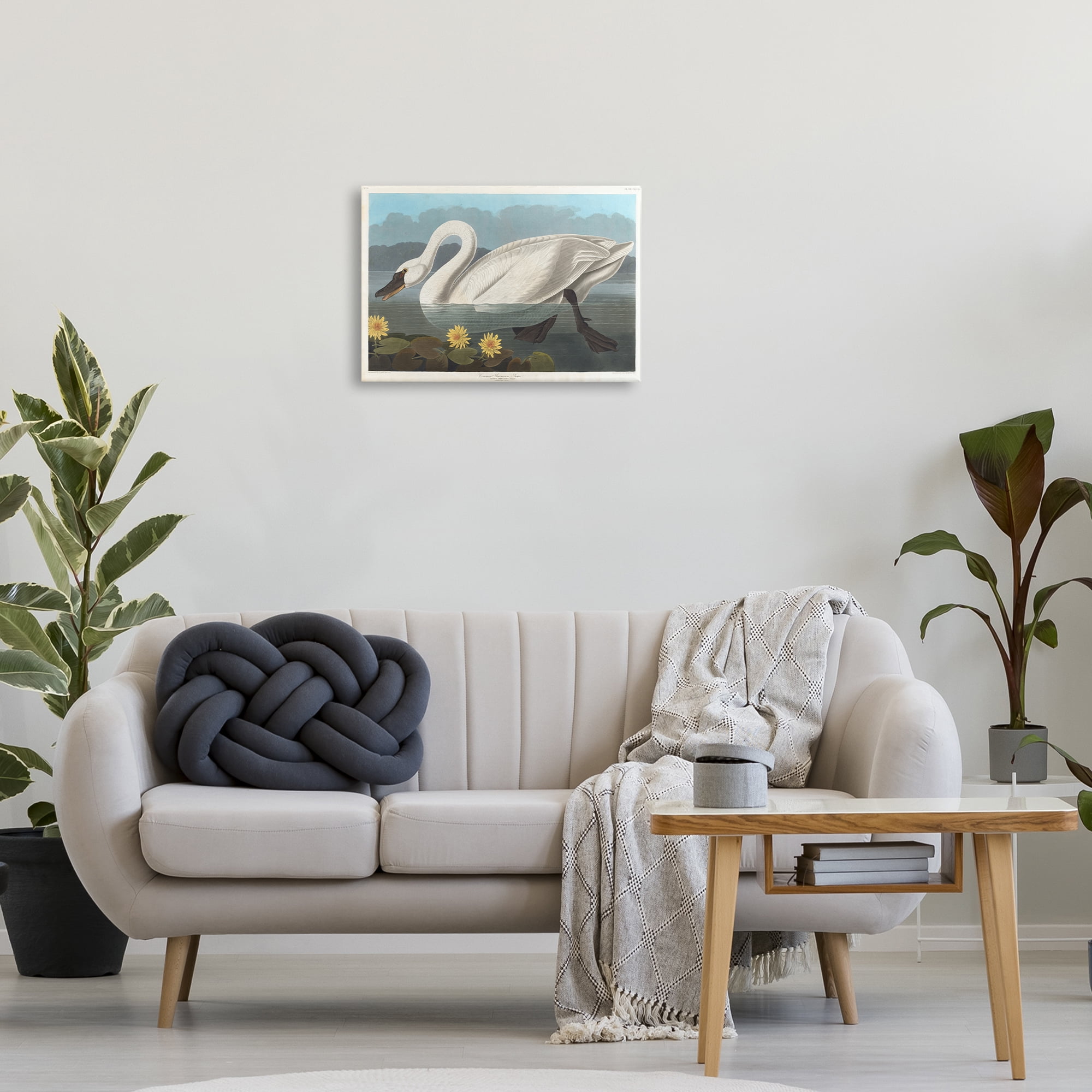 Stupell Industries Classic Common American Swan Animals Painting Wrapped Canvas Art Print Wall Art, 24 x 16