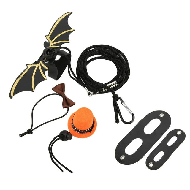 Bearded Dragon Leash, Lizard Harness Lizard Leash Harness Set Multifunctional For Orange