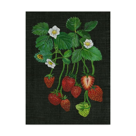 Trademark Fine Art 'Strawberry Fields II' Canvas Art by Melissa Wang