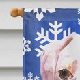 thumbnail image 3 of Carolines Treasures RDR3003CHF Cooper Winter Snowflakes Boxer Flag Canvas House Size, 3 of 4