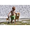 thumbnail image 2 of Jouet de lancement pour chien Fly & Fetch, 2 of 5