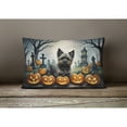 thumbnail image 2 of Carolines Treasures DAC2027PW1216 16 x 12 in. Unisex Cairn Terrier Spooky Halloween Fabric Decorative Pillow, 2 of 4