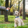 Dog Break Stick Dog Bite Stick Dog Training Equipment for Pitbull