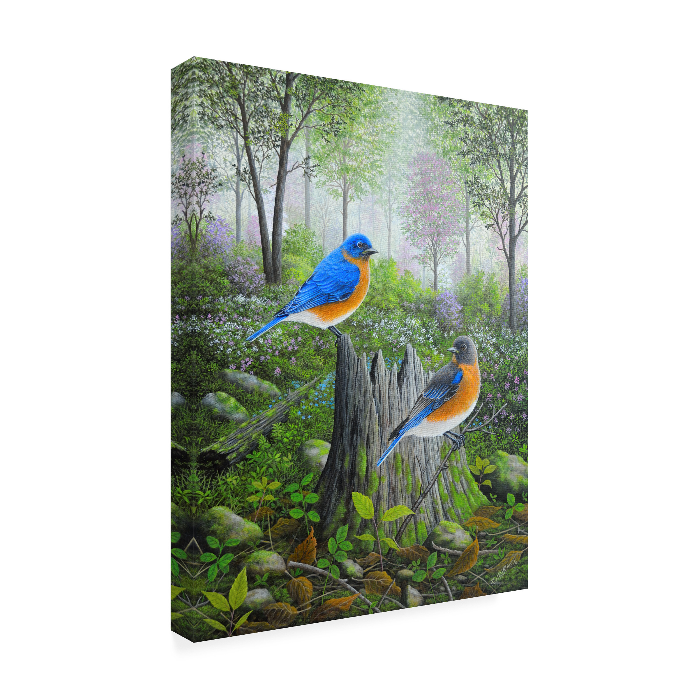Trademark Fine Art 'Spring Bluebirds' Canvas Art by Robert Wavra