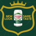thumbnail image 2 of Canada Dry Caffeine Free Zero Sugar Ginger Ale Soda Pop, 2 Liter Bottle (Pack of 2), 2 of 5