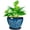 Blue, variant on Ceramic Plant Pot 8 Inch, Glaze White and Black