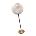 thumbnail image 2 of Organizador de joyas Salvador Soporte de exhibición modelo de oreja Blanco derecho, 2 of 10