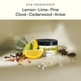 thumbnail image 2 of Gel eliminador de olores Fresh Wave Lemon, 200 ml, paquete de 3, 2 of 8