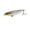 A 6g, variant on Fishing Tackle Hard Baits Topwater Pencil Fishing Lures 6g/12g Walk The Dog Artificial Baits with Treble Hook