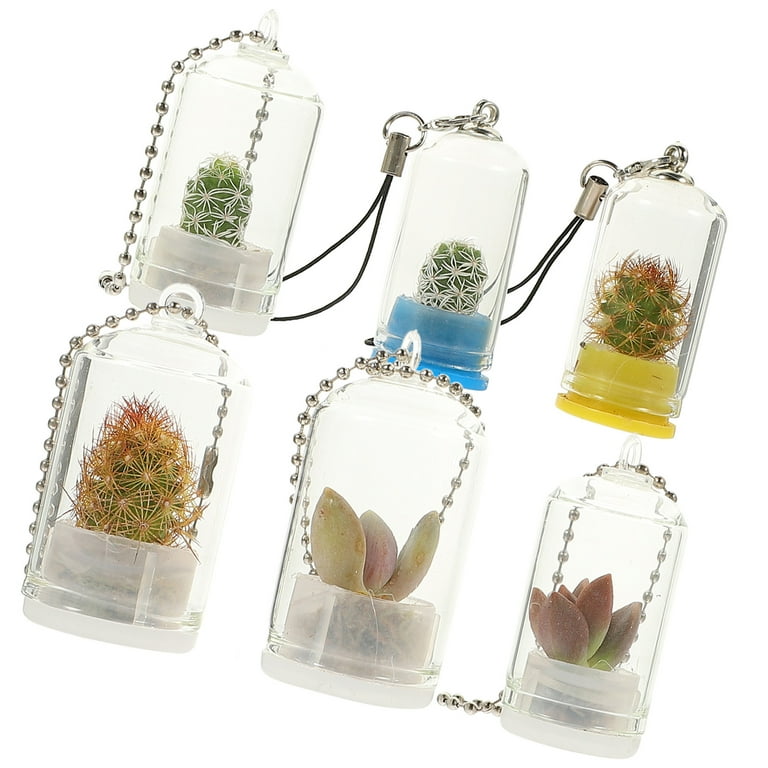 PENIKOKO 6Pcs Hanging Glass Terrarium Keychain Plant Starter Vases