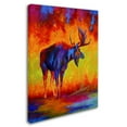 thumbnail image 2 of Trademark Fine Art 'Moose 5' Canvas Art by Marion Rose, 2 of 3