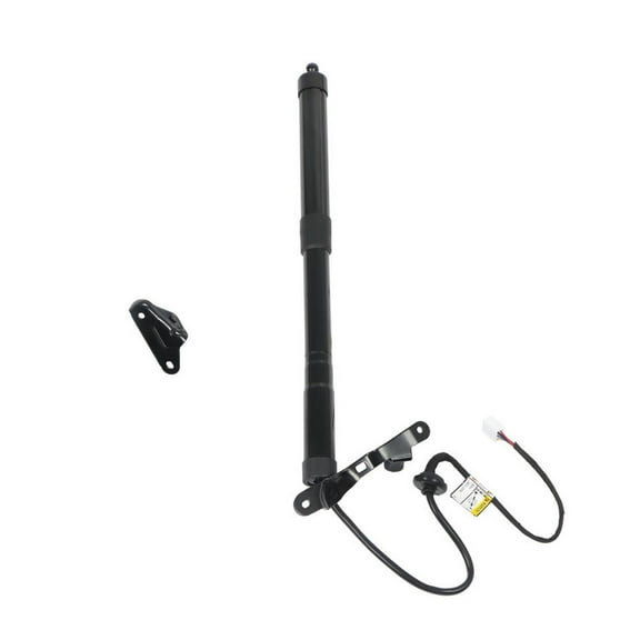 Rear Right Tailgate Power Lift Support Replacement for 2013-2018 RAV4 6891009010 6891009012 6891009015 6891009016