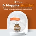 thumbnail image 2 of Pelota para hámster Happy Habitats de 7" transparente y ventilada, 2 of 7