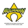 thumbnail image 7 of Aquaman Logo, THERMOS STAINLESS KING Stainless Steel Drink Bottle, Vacuum insulated & Double Wall, 24oz, 7 of 7