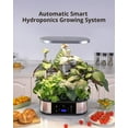 thumbnail image 4 of Aoile 12 Pods Hydroponic Growing System with 30W Grow Light & Timer, Smart Indoor Herb Garden Kit Up to 30", 4 of 8