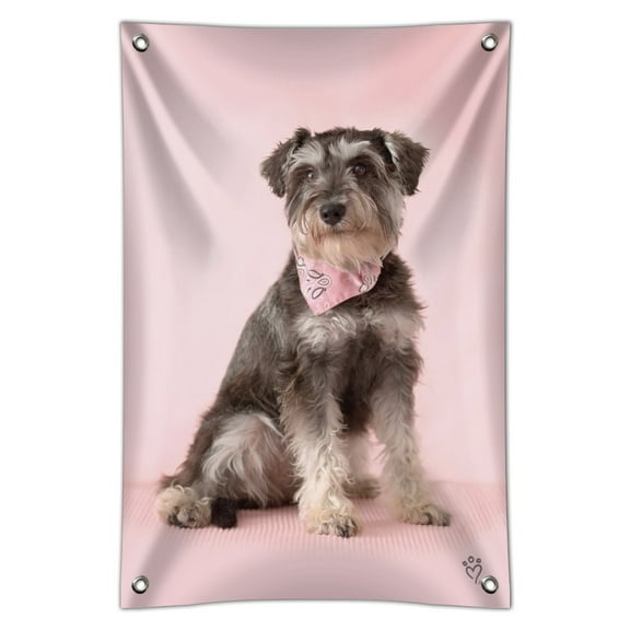 Schnauzer Puppy Dog with Bandana Sitting Home Business Office Sign