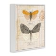 thumbnail image 3 of Stupell Industries Cottage Yellow & Grey Butterflies White Framed Giclee Art, 12 x 12, by Susan Arnot, 3 of 8
