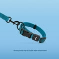 thumbnail image 4 of Voyager Reflective Leash Collar Set with Neoprene Handle, 5ft Long, Supports Small, Medium, and Large Breed Puppies, Cute and Heavy Duty for Walking, Running, and Training - Turquoise, L, 4 of 8