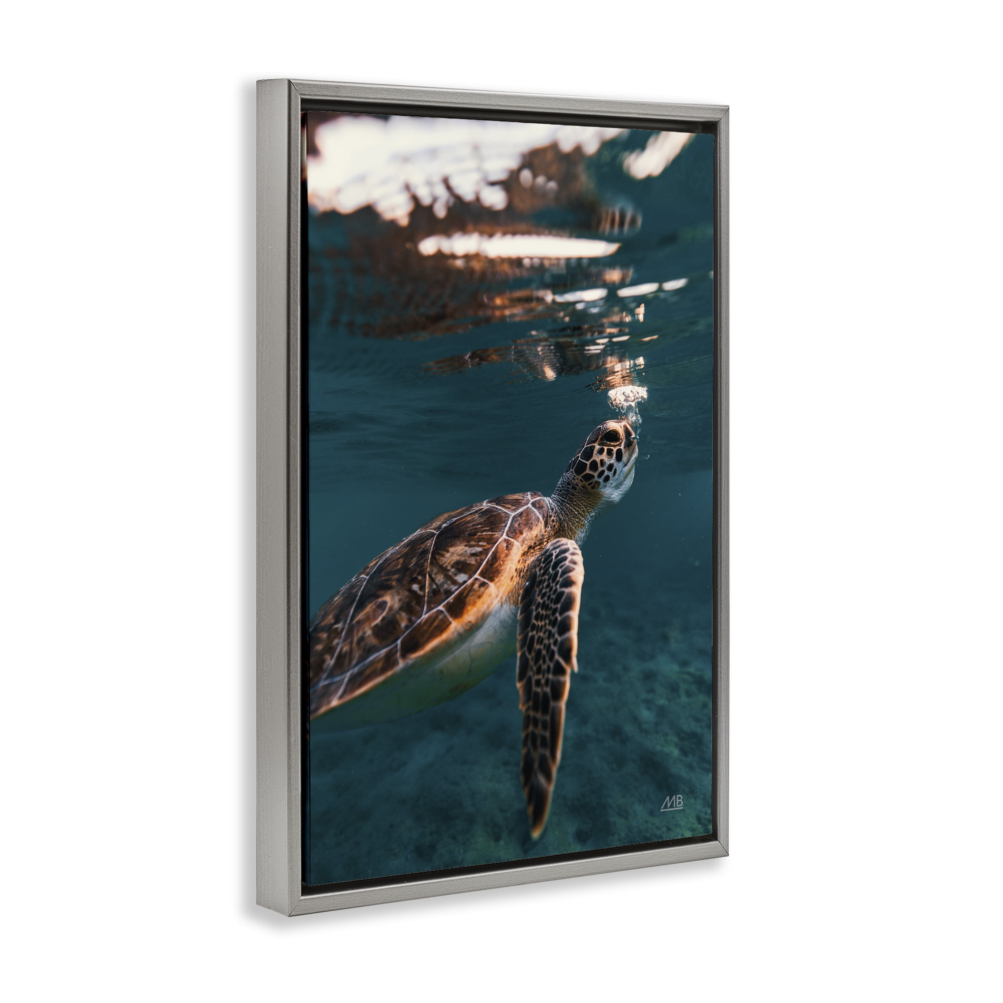 Stupell Industries Blowing Bubbles Turtle Animals Photography Gray Floater Framed Canvas Art Print Wall Art, 21 x 31