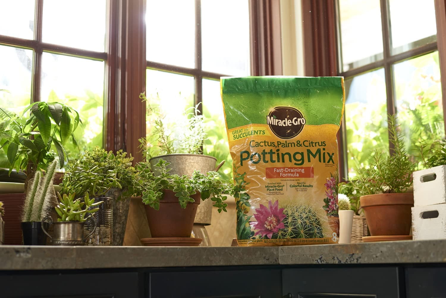 Miracle-Gro Cactus, Palm & Citrus Soil, 8 QT, Container & In-Ground -  Walmart.com