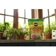 thumbnail image 5 of Miracle-Gro Cactus, Palm & Citrus Soil - For Containers , Added Fertilizer Feeds for 6 Months, 8 qt. 1-Pack, 5 of 6