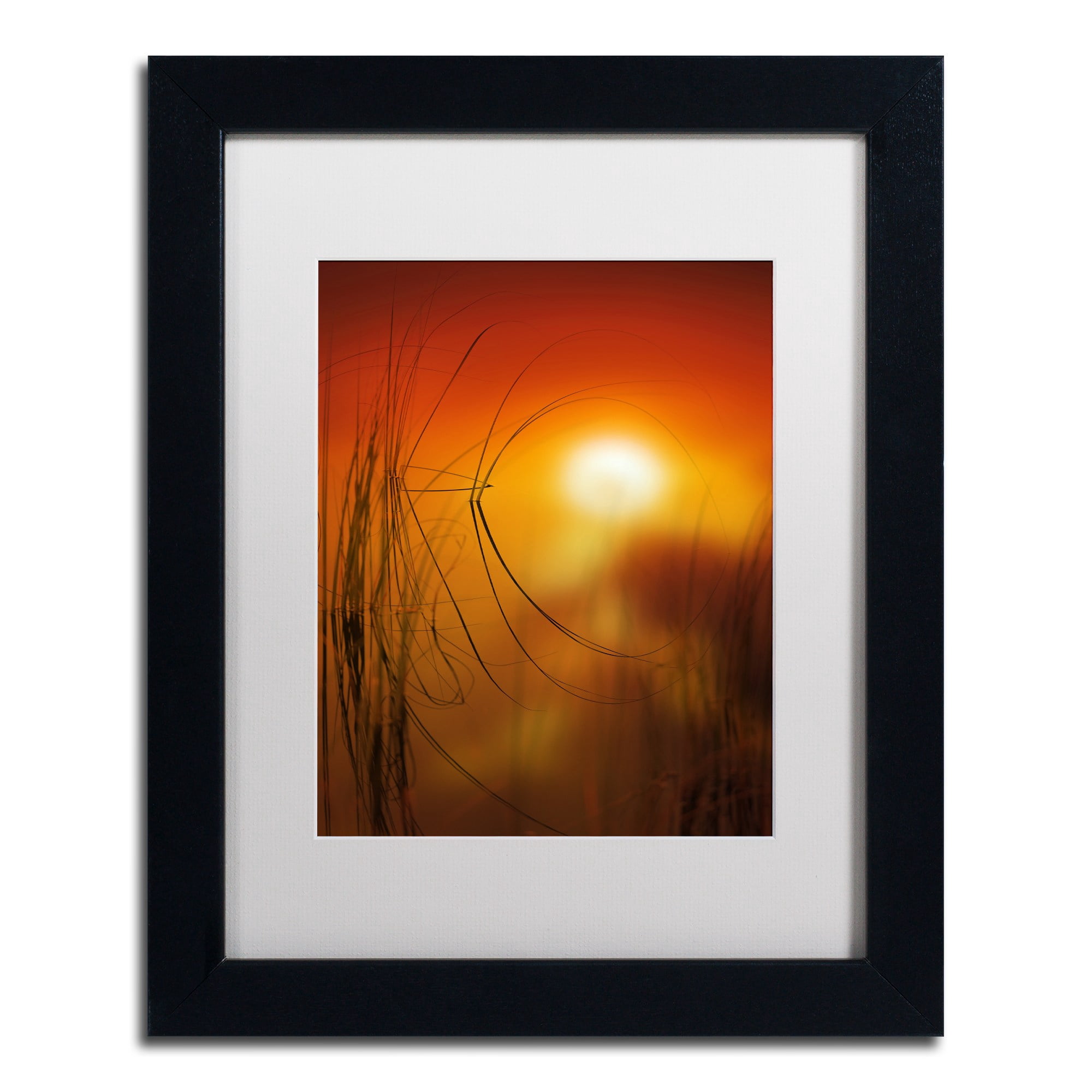 Trademark Fine Art "Nature Time Machine" Canvas Art by Philippe Sainte-Laudy White Matte, Black Frame