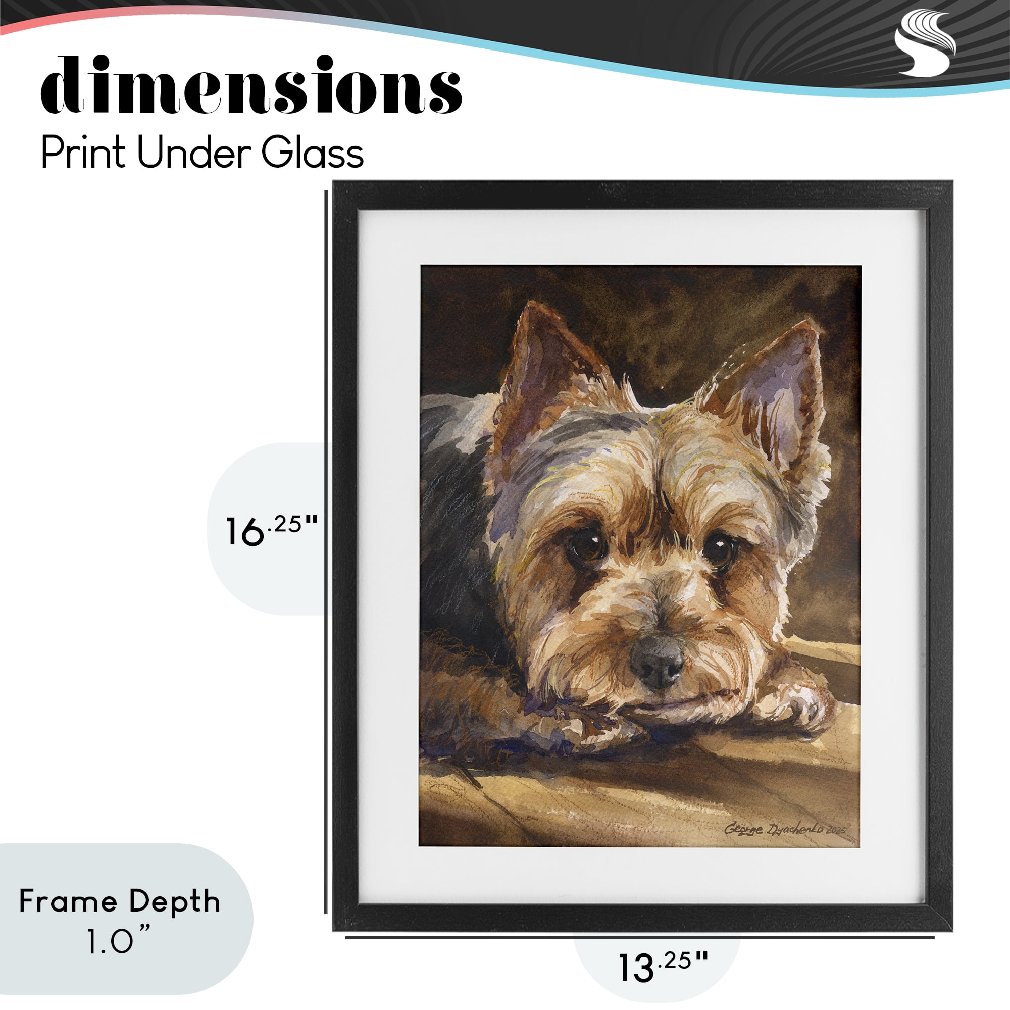 Stupell Industries Yorkshire Terrier Portrait Black Framed Print Under Glass, design by George Dyachenko