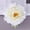 White, variant on 20pcs Lifelike Artificial Peony Flower Heads for Wedding Centerpieces Home Decor DIY Floral Arrangements