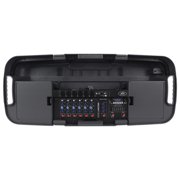 Peavey ESCORT 3000 300w Portable PA Powered Speaker System w/Mixer + 2 PVI Mics