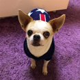 thumbnail image 5 of Pet Clothes,Small Dog Sweater Winter Warm Pet Pullovers Pets Clothing for Dogs Puppy Suit Outfit Baby ( Pink Strawberry), 5 of 5