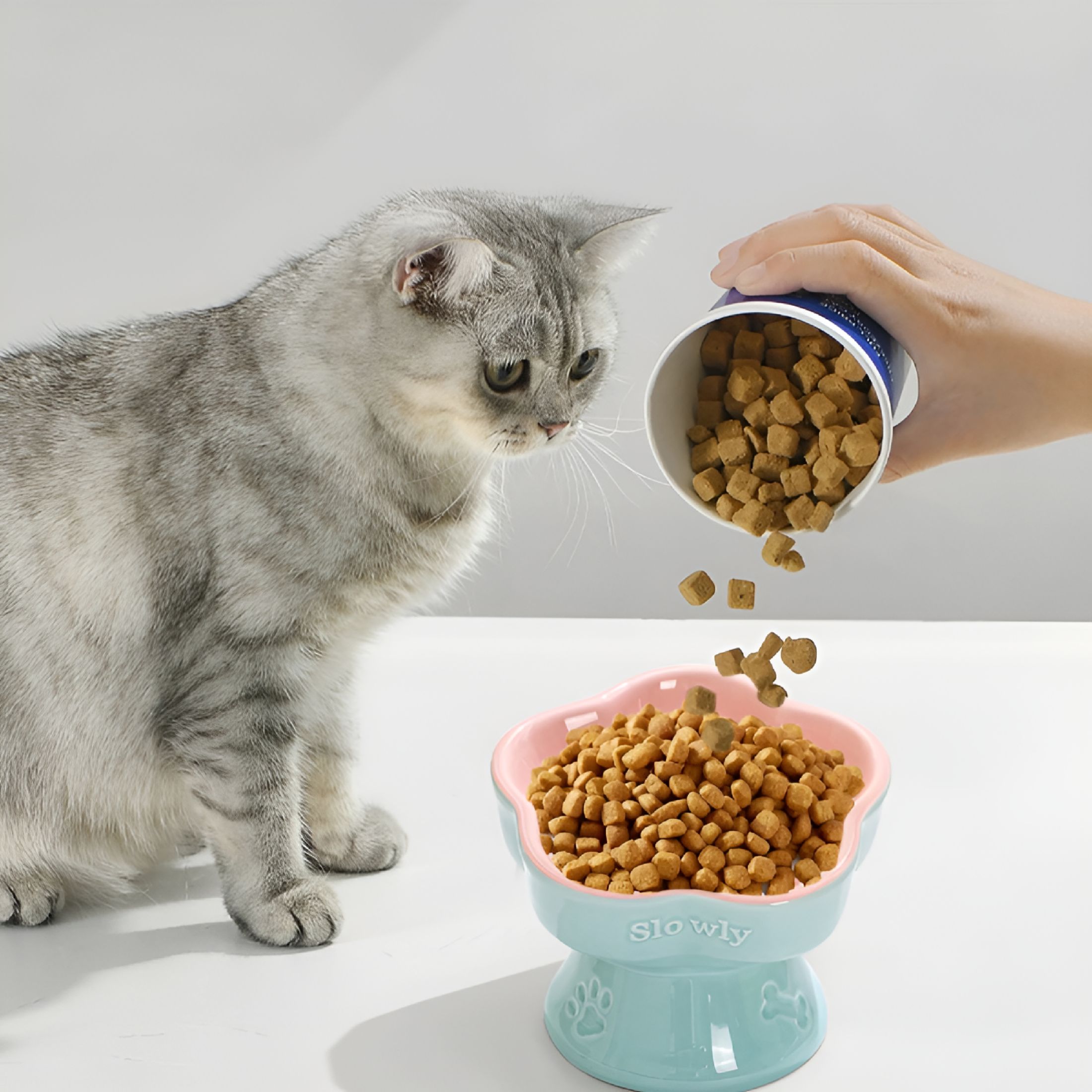 ACDANC 2026 New Slow Feeder Cats Bowl -Cat Slow Feeder Ceramic,Reduces Overeating & Gulping,Easy Clean,Food Grade Material,Versatile Use for Cats and Small Dogs