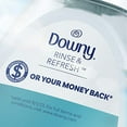 thumbnail image 5 of Downy RINSE & REFRESH Laundry Odor Remover and Fabric Softener, Cool Cotton, 48 fl oz, Safe on ALL Fabrics, Gentle on Skin, HE Compatible, 5 of 7