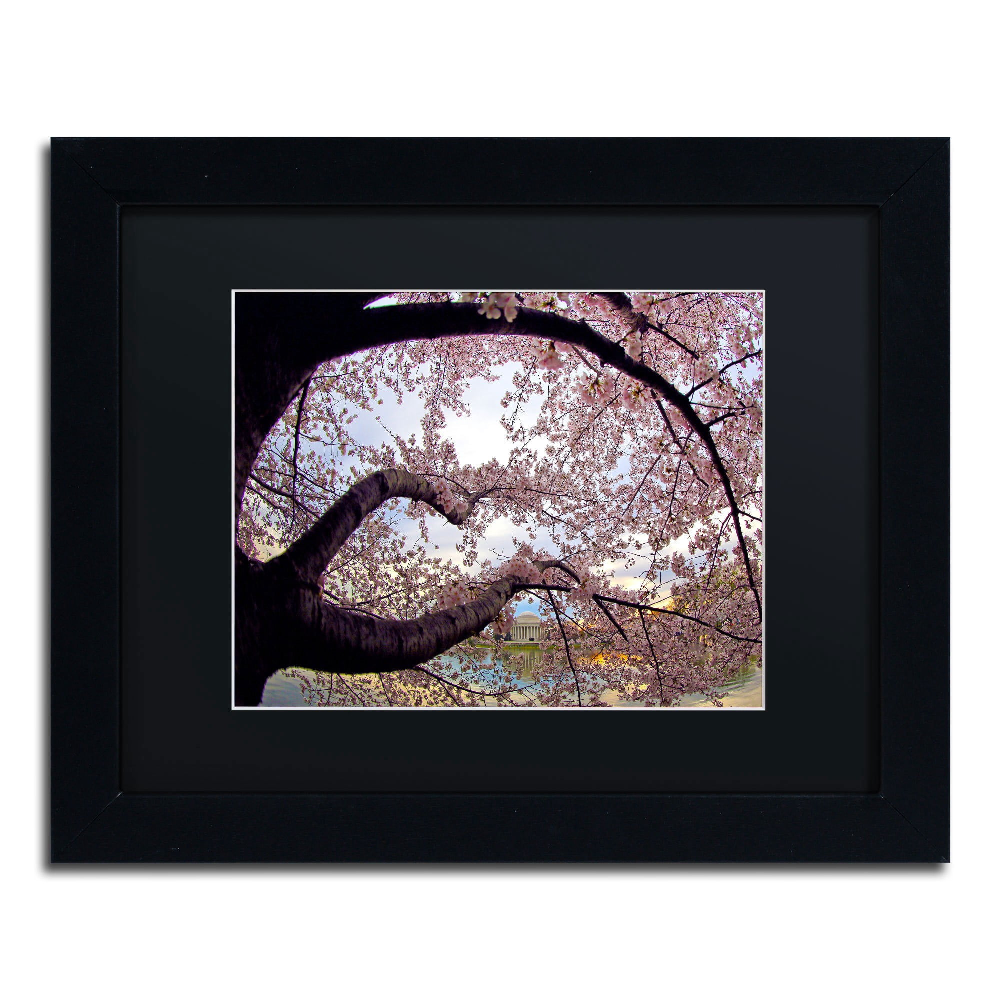 Trademark CATeyes "Cherry Blossoms 2014-1" Art Black Matte W/Black Frame 16" x 20" (MZ0295-B1620BMF)