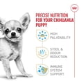 thumbnail image 3 of Nutrition Santé pour Races Chihuahua Chiot - Nourriture Sèche pour Chien 2,5 Lb, 3 of 5