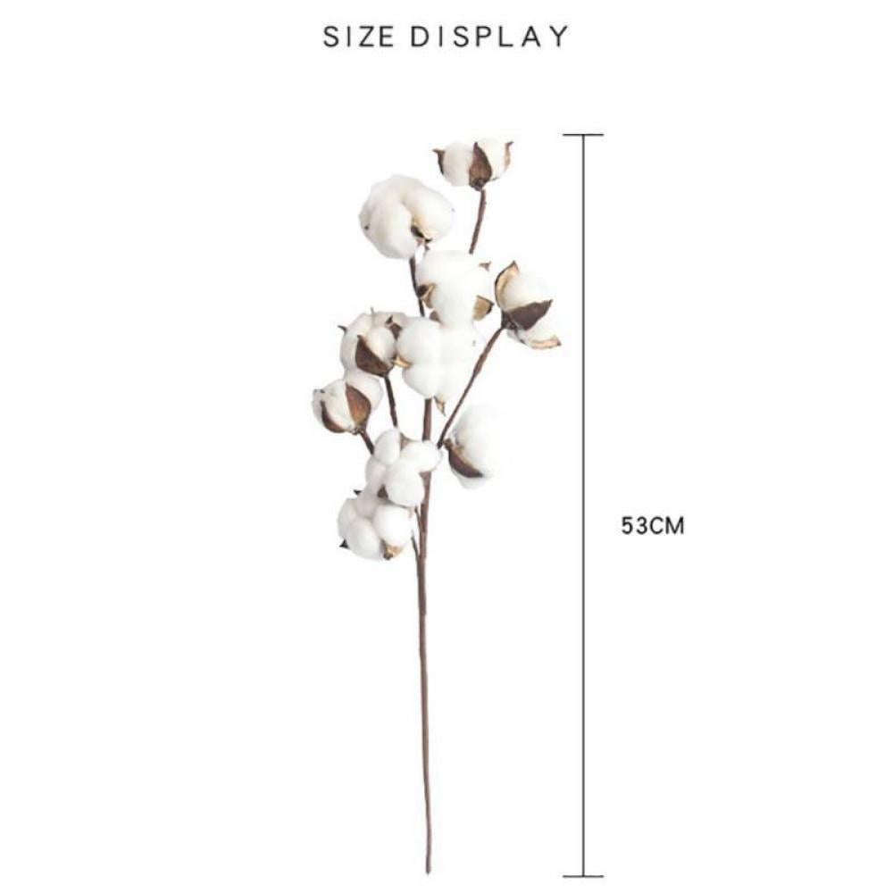 5PCS Naturally Dried Cotton Stems Farmhouse Artificial Flower Filler Floral Decor