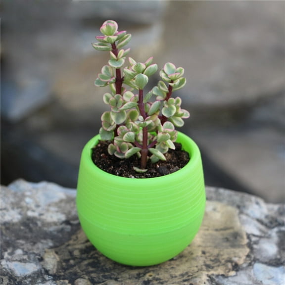Raindrops Mini Round Resin Flower Pot Solid Color Planter for Succulents Home Office Decor