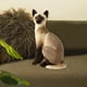 thumbnail image 5 of Juguete de peluche de gato suave Relleno Amigable Muñeca cómoda Simución encantadora Gatos siameses para novia Adolescentes EstiloD Hugo Juguetes de peluche, 5 of 9