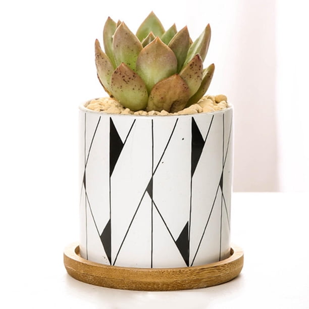 Macetas suculentas de cerámica nórdica con agujeros patrones geométricos Mini macetas esmaltadas macetas de jardinería oficina escritorio bonsái macetas estilo 5 Cola maceta suculenta
