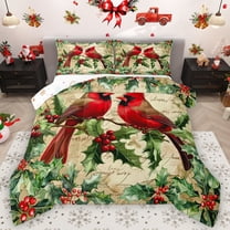 Feelyou Christmas Red Robin Queen Comforter Set, Poinsettia Leaf Plant Bedding Sets, Vintage Western Fashion Reversible Bedding Comforter Set, Breathable Home Decor, 3-Piece