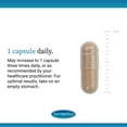 thumbnail image 4 of EuroMedica Ashwagandha Complex - 60 Capsules, 4 of 7