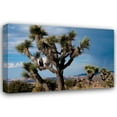 thumbnail image 1 of Erin Berzel 40x28 Gallery Wrapped Canvas Wall Art Titled - Joshua Tree VI, 1 of 4