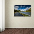 thumbnail image 3 of Trademark Fine Art 'This or That' Canvas Art by Philippe Sainte-Laudy, 3 of 3