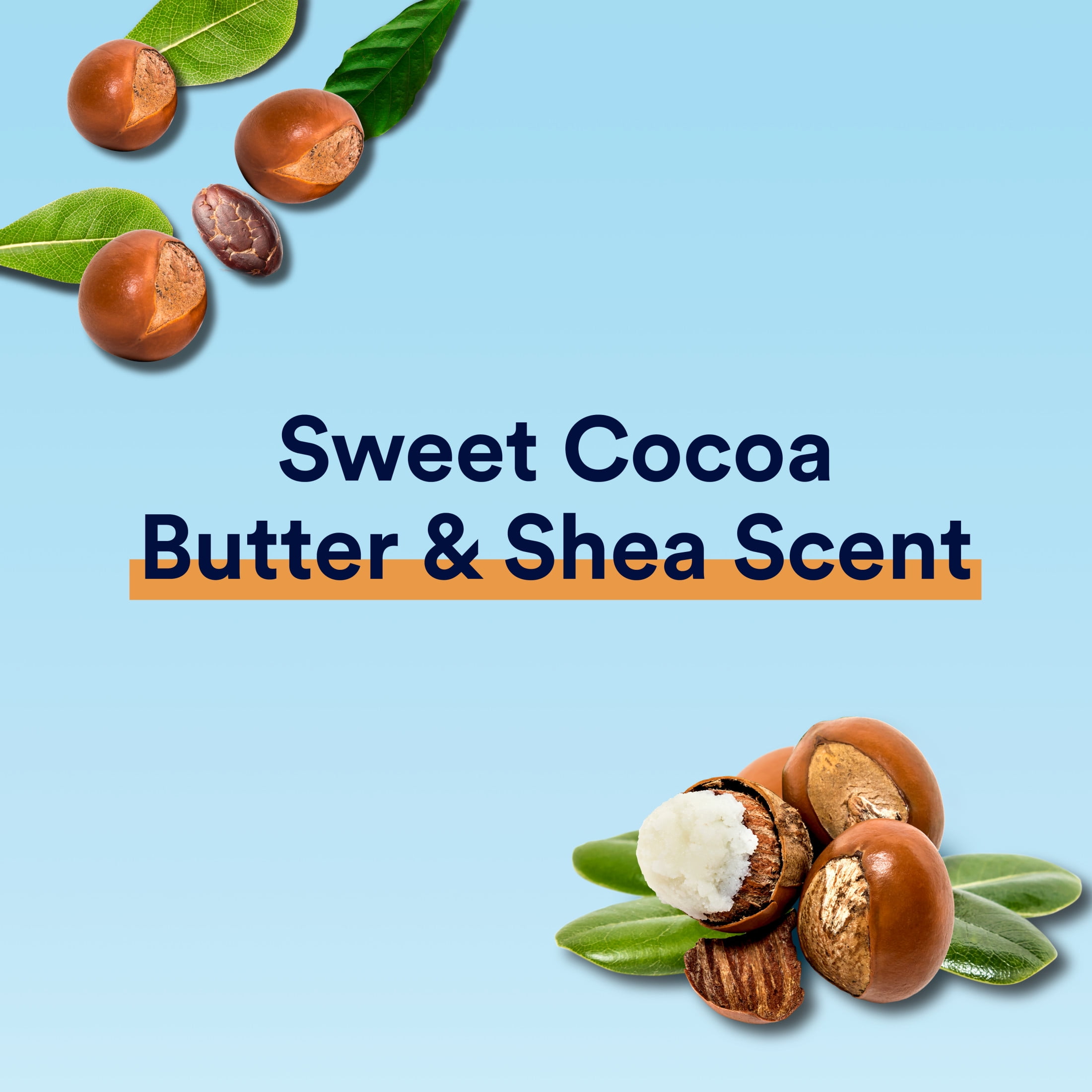 Cocoa Butter & Shea Invisible Solid Antiperspirant Deodorant