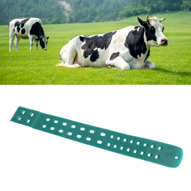 Etiqueta de Pie de Vaca, Banda de Pesas de Vaca TPU Invisible Safe 10pcs para Podómetro