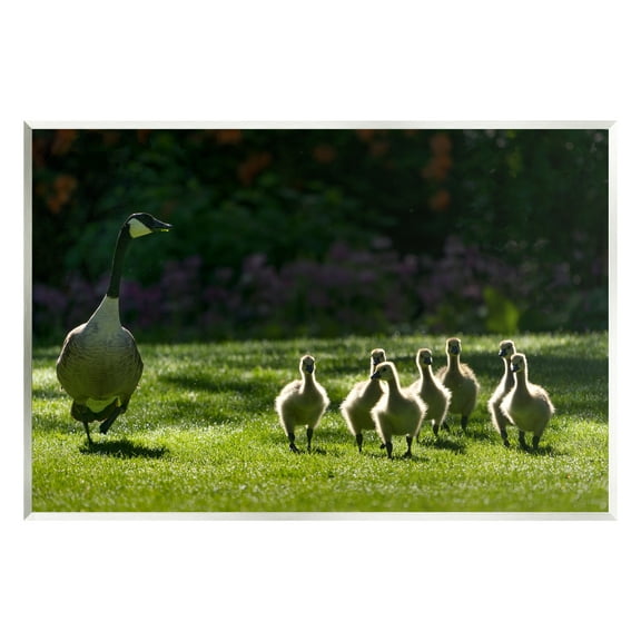 Stupell Industries Goose Family Photography Animals & Insects Photography Unframed Art Print Wall Art, 15 x 10
