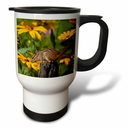 3drose, Eastern Chipmunk on Fence Post Near Flower Garden, Marion Co. Il, 14oz Stainless Steel Travel Mug