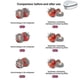 thumbnail image 4 of Ozzie Odor Eliminator for Smoke Smell in Home Car Office 2025, 4 of 5