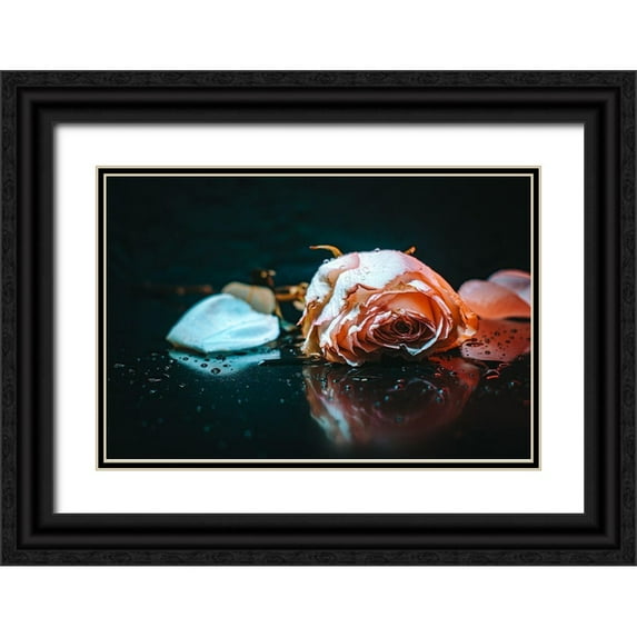 Alsharif, Yahia 14x11 Black Ornate Wood Framed with Double Matting Museum Art Print Titled - Sad Rose