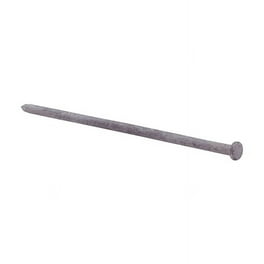 Grip-Rite 10 in. Spike Hot-Dipped Galvanized Steel Nail Flat Head 50 lb Grip-Rite 10 in. Spike Hot-Dipped Galvanized Steel Nail Flat Head 50 lb